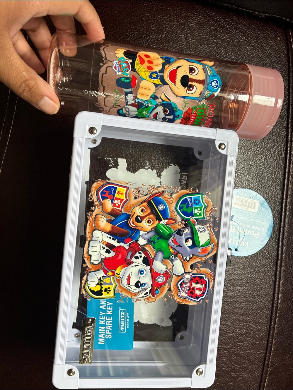 Paw Patrol Kids Pink Water Bottle and Character Storage Box Set
